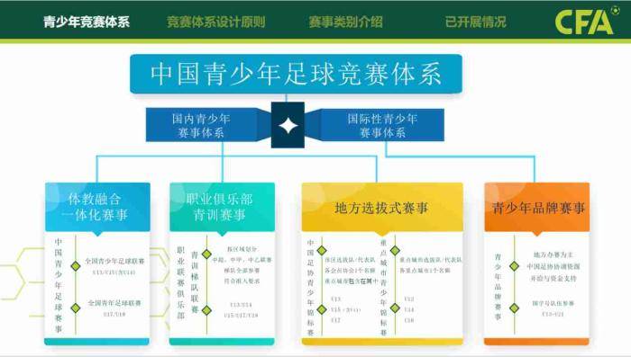 包含中国青训现状：问题出在哪儿？的词条