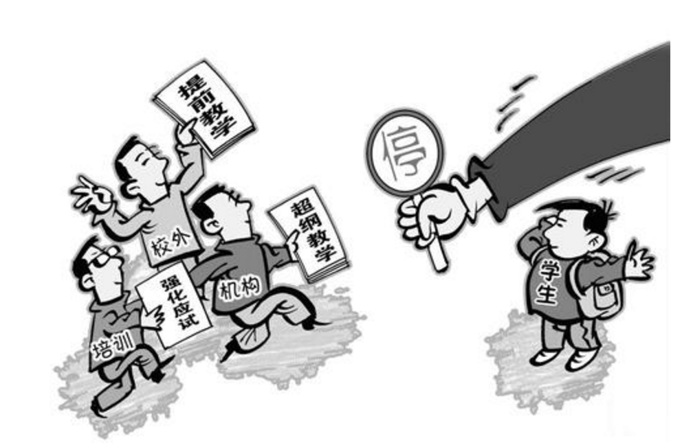关于篮球培训班乱象：家长花10万培训，孩子仍难进职业队的信息
